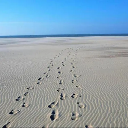 Near Sandy In Belgium