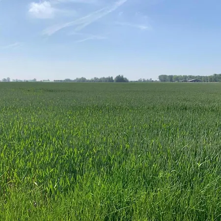 Near Sandy In Belgium アパート