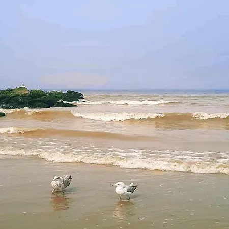 Apartamento Near Sandy In Belgium Nieuwpoort