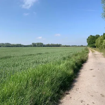 Near Sandy In Belgium ニーウポールト