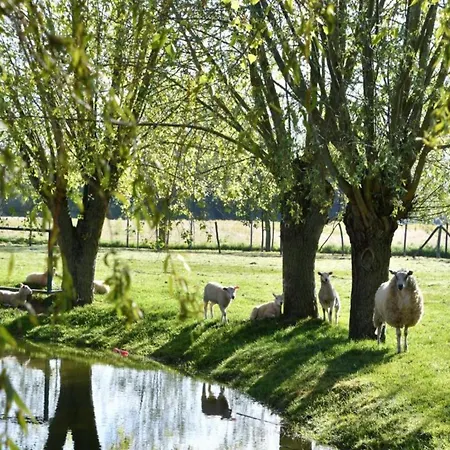 Near Sandy In Belgium * Nieuwpoort