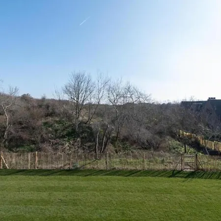 Near Sandy In Belgium *