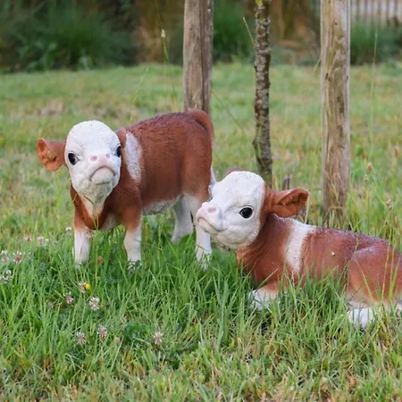 Near Sandy In Belgium Apartamento *