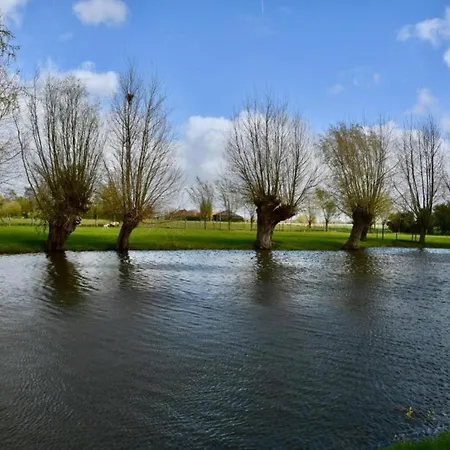 Near Sandy In Belgium *