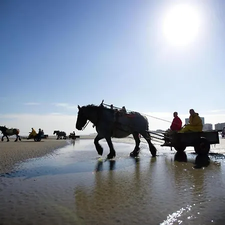 Near Sandy In Belgium ニーウポールト