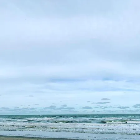 Near Sandy In Belgium