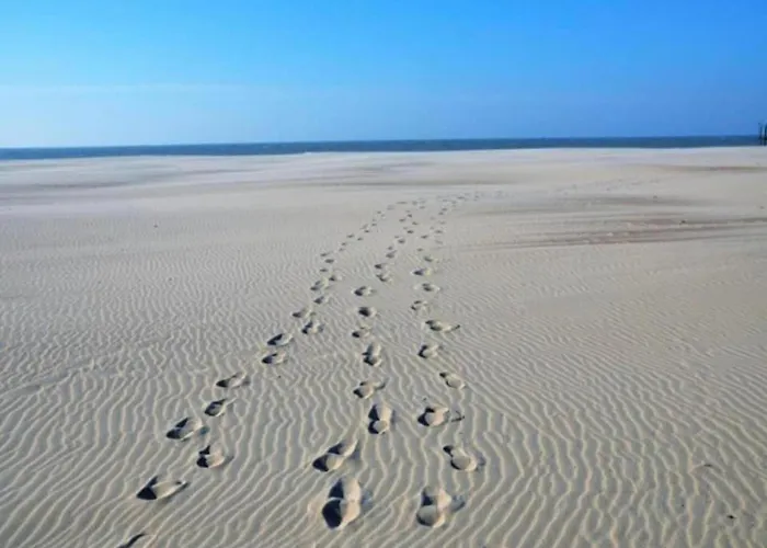 Near Sandy In Belgium