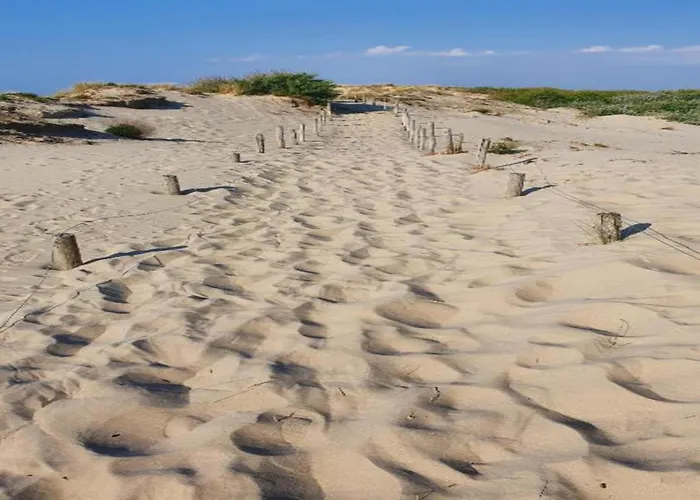 Near Sandy In Belgium Apartamento Nieuwpoort