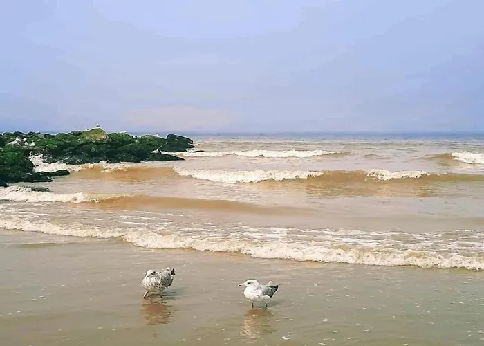 Apartamento Near Sandy In Belgium Nieuwpoort