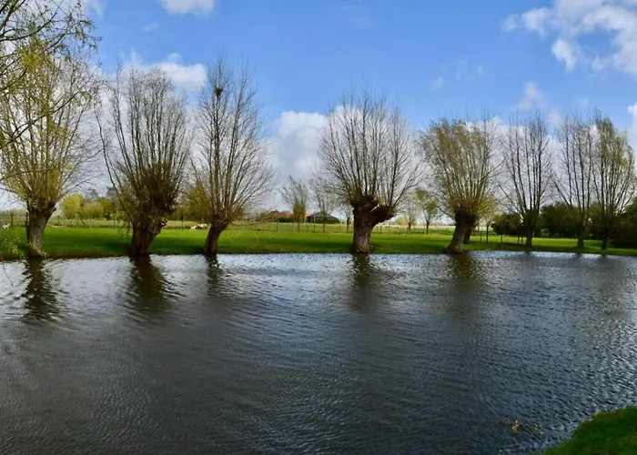 Near Sandy In Belgium *